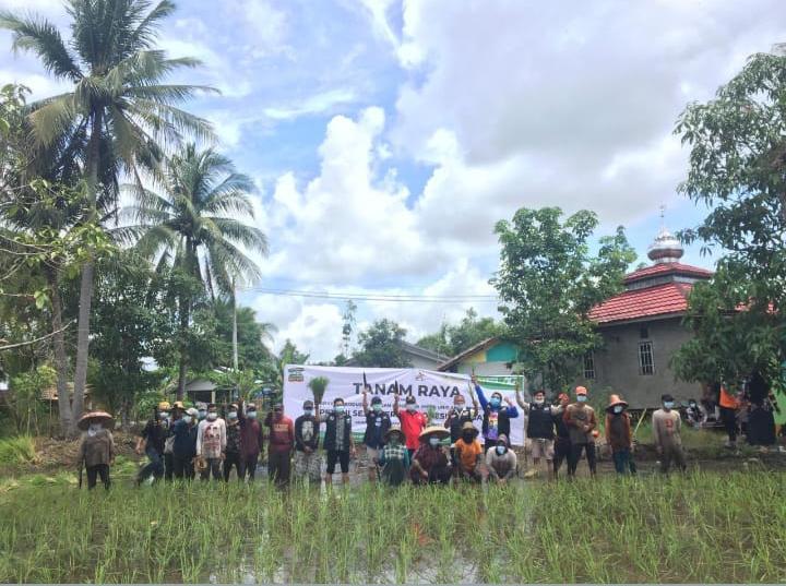 Penanaman Padi di Lokasi Binaan MPPI Unit Desa Anjir Serapat Muara, Marabahan, Barito Kuala