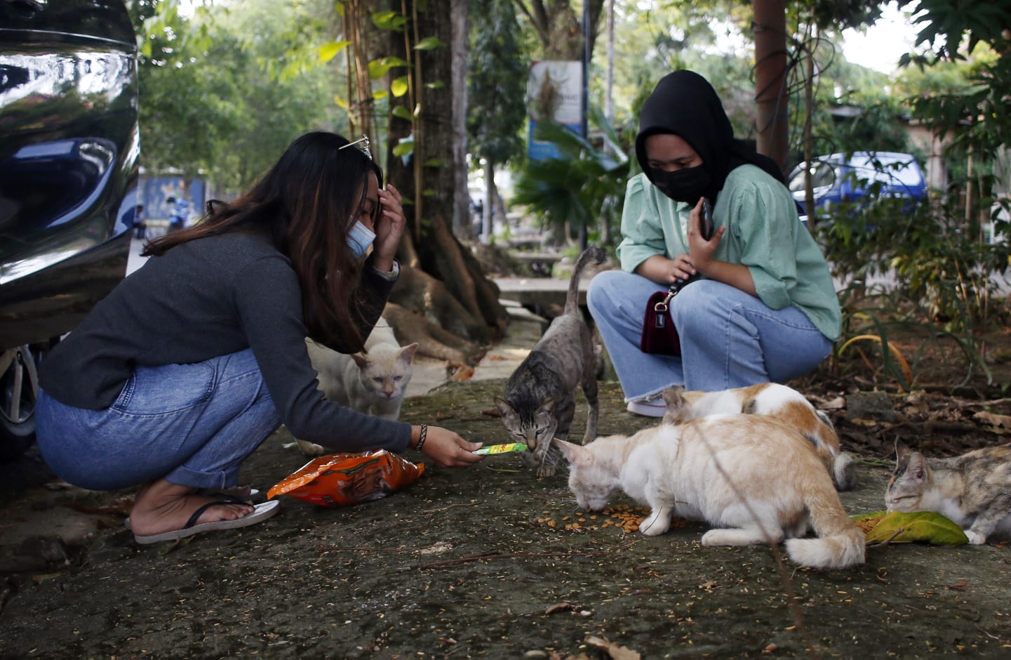 Bantu Kucing Terdampak, Plesetan Singkatan PPKM ala Sesama Movement Jadi Ide Gerakan Sosial