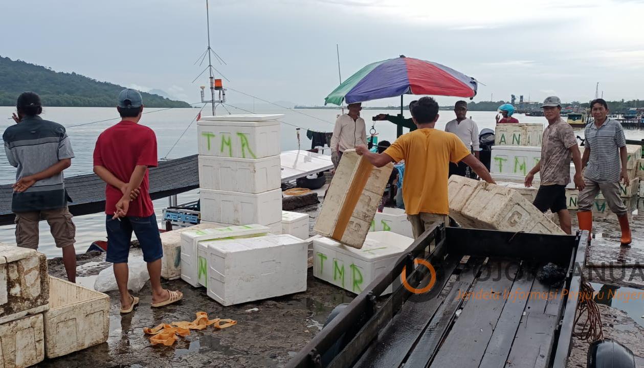 Demi Nafkahi Keluarga, Nelayan Tetap Melaut meski Gelombang Capai 4 Meter