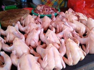 Harga Ayam di Pasaran Naik, Pedagang Mengeluh Sepi Pembeli