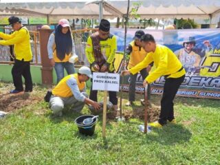 Turdes Gubernur di SMAN 1 Tanjung, Paman Birin Kembali Tanam Bibit Pohon