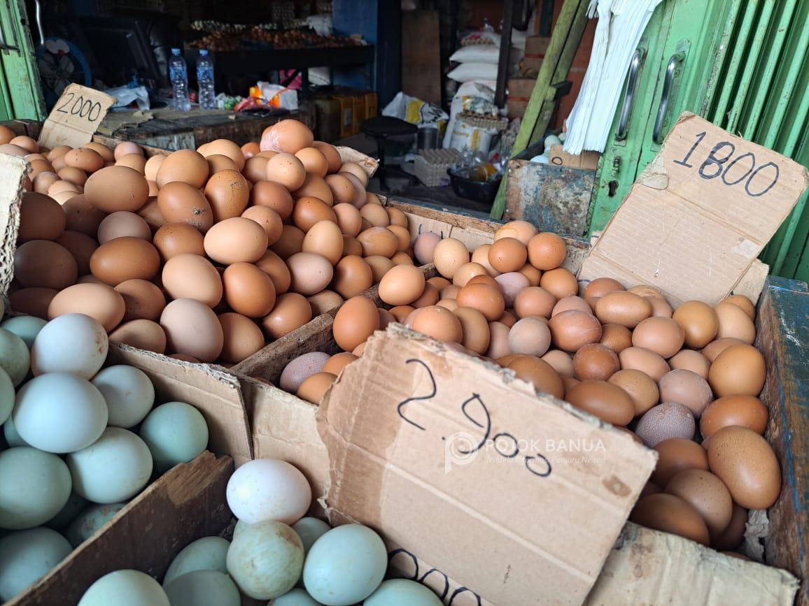 Puluhan Ribu Telur Ayam Terjual Saat Idul Fitri